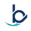 BGS Marine Sales logo