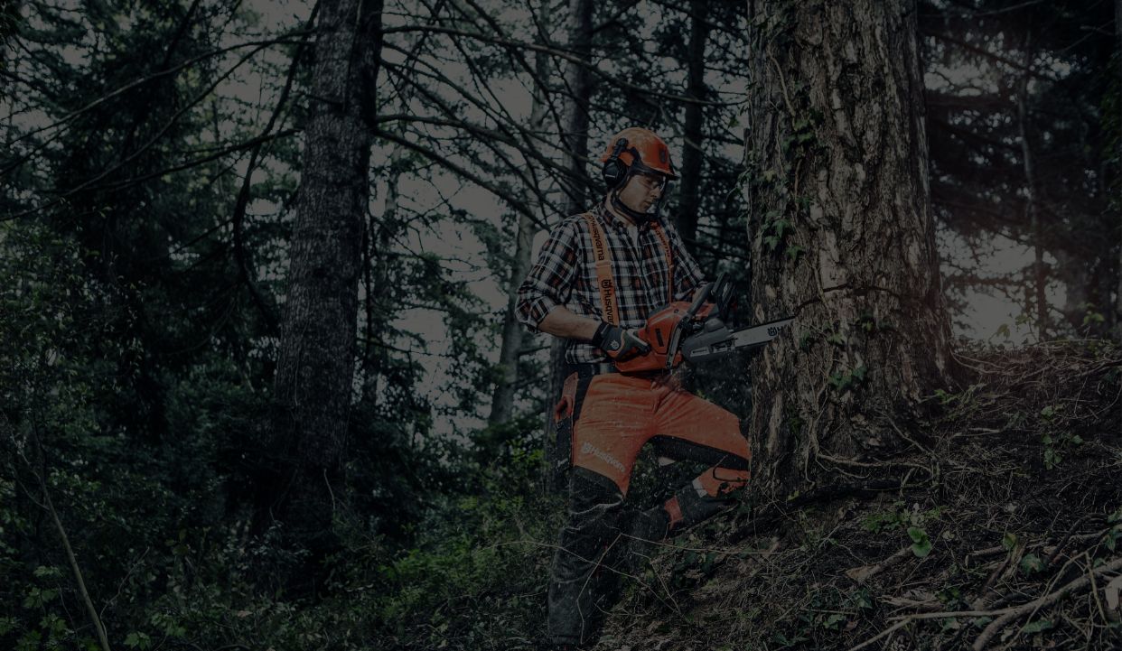 Home Iron Horse Equipment Wallingford, CT (203) 6269316