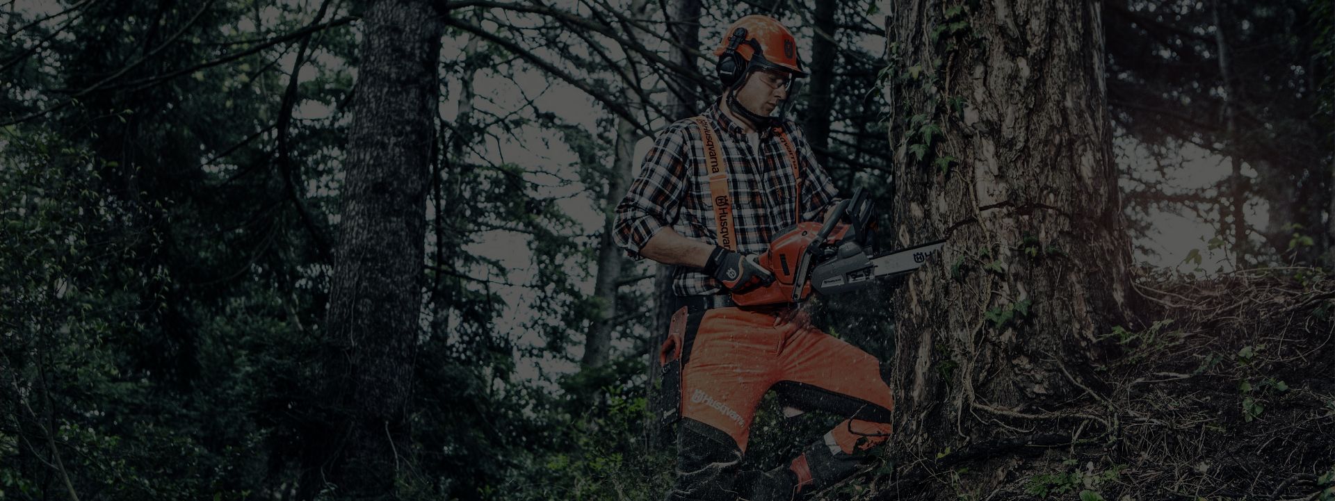 Home Iron Horse Equipment Wallingford, CT (203) 6269316