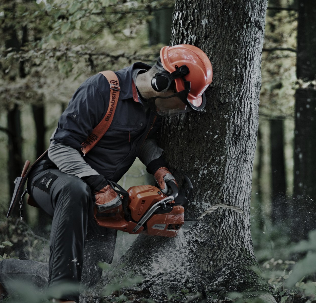 Home High Star Supply Plymouth, WI (920) 8935108